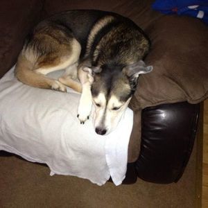 Meet your Posher, Margaret